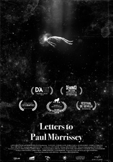 LETTERS TO PAUL MORRISEY poster